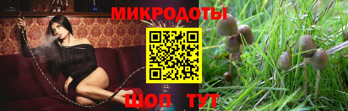 Галлюциногенные грибы GOLDEN TEACHER Майский